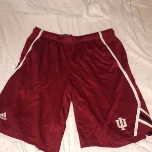 IU basketball Shorts